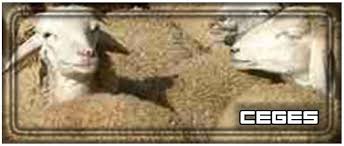 حلم رؤية الحرب في المنام وهل الحلم بالحرب والقصف يعتبر شر وما تفسير ابن سيرين لحلم الحرب سواء للعزباء وللحامل وللمتزوجه الحرب في المنام تفسير حلم رؤية الحرب والهروب منها في المنام. ØªÙØ³ÙŠØ± Ø±Ø¤ÙŠØ© Ø­Ù„Ù… Ø§Ù„Ø®Ø±ÙˆÙ ÙÙŠ Ø§Ù„Ù…Ù†Ø§Ù… Ù„Ù„Ø¹Ø²Ø¨Ø§Ø¡