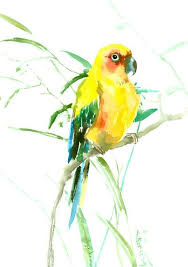 Pin Von Geyer Auf Riz Pictur Bank Malen Und Zeichnen Malen Tiere