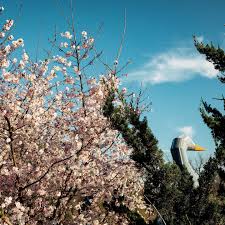 MEET THE TEAM: Introducing Keiona Webb, our newest legal assistant at The  Law Office of Michael R Green. Keiona is a life-long Tulsan who enjoys  reading, all things pink, and being a