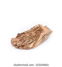 Image result for Harrisonia