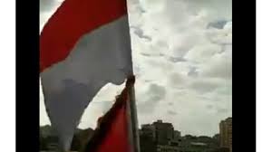 Hasil gambar untuk palestina bendera