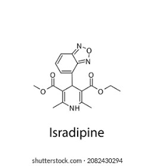 Image result for Isradipine