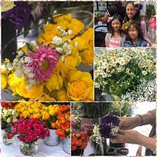 Check spelling or type a new query. Our Fresh Flowers Are Turned Into Stater Bros Markets
