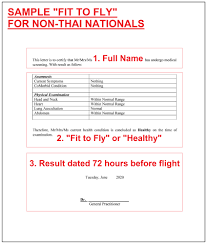 Fit To Fly Health Certificate For Travelers To Thailand Thaiest