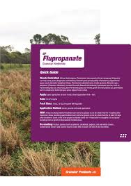 Image result for Eragrostis humidicola