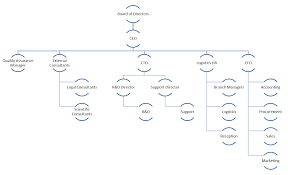 Organizational Chart Communication And Information