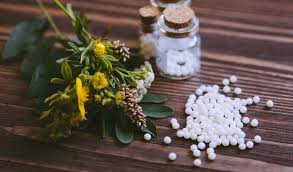 Das schwangerschaftshormon liegt in großen mengen vor. Bachbluten Globuli Fur Hunde Und Katzen Im Test 2019 Erfahrungen