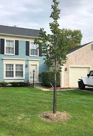 Weichert realtors is one of the nation's leading providers of rochester hills, michigan real estate for sale and home ownership services. Homes For Sale In Rochester Hills Mi Homefinder