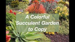 We did not find results for: Design Ideas From An Award Winning Succulent Garden Youtube