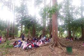 Apr 22, 2017 · di wilayah kota batu, yang terletak di sebelah utara pusat kota terdapat sebuah hutan lebat yang merupakan kawasan hutan lindung, yakni taman hutan raya raden soerjo. Sehari Di Hutan Lindung Kota Langsa Halaman All Kompas Com
