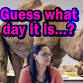 Happy Hump Day IFPA Tournament event image