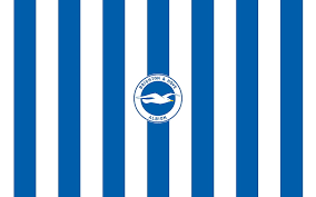 The brighton & hove fc logo design and the artwork you are about to download is the intellectual property of the copyright and/or trademark holder and is offered to you as a convenience for lawful. Hd Wallpaper Brighton Hove Albion Fc European Football Club Hd Sign Communication Wallpaper Flare