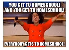 Everybody Gets Homeschool In 2020 Medical Memes Homeschool Memes Server Humor