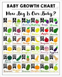 34 Accurate Baby Size Chart Week By Week