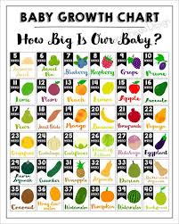 34 accurate baby size chart week by week