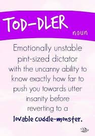 Toddler Definition Toddler Quotes Funny Toddler Quotes Toddler Humor