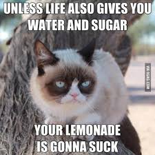 Easily add text to images or memes. When Life Gives You Lemons 9gag