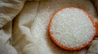 duty free raw sugar imports
