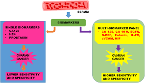 Some women with ovarian cancer never have an elevated ca 125 level. Multi Biomarker Panel Signature As The Key To Diagnosis Of Ovarian Cancer Abstract Europe Pmc