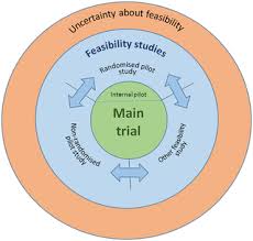 Quantitative researchers aim to establish general laws of behavior and phenonomon across different settings/contexts. Defining Feasibility And Pilot Studies In Preparation For Randomised Controlled Trials Development Of A Conceptual Framework