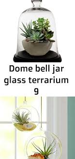 Dome Bell Jar Glass Terrarium 9 Glass Terrarium Terrarium The Bell Jar