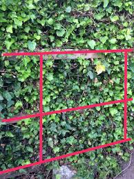 Check out our video below to see how it works. How Can I Stop Bushes Growing Through A Mesh Fence Gardening Landscaping Stack Exchange