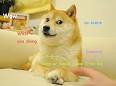 Meet the Real Dog Behind the Doge Meme | The BarkPost
