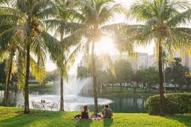 Admissions at fiu are considered selective, with 50% of all applicants being admitted. Florida International University Global First Year Florida International University Global First Year Study In The Usa Miami Fl