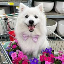 Looking for someone to share sunshine with