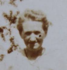 Martha Jane Harrison Fleenor (1860-1936)