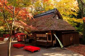 奈良公園 水谷茶屋(みずやちゃや) <nara park> 奈良公園には1,000頭以上もの鹿が生息しており、公園内を歩いていると、いたるところで鹿に出会います。撮影した水谷茶屋付近でもたくさんの鹿さんがいました。 å¥ˆè‰¯å…¬åœ' ç´…è'‰ã®æ°´è°·èŒ¶å±‹ 10630006494 ã®å†™çœŸç´ æ ã‚¤ãƒ©ã‚¹ãƒˆç´ æ ã‚¢ãƒžãƒŠã‚¤ãƒ¡ãƒ¼ã‚¸ã‚º