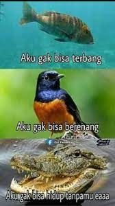 Gambar aku kudu kuat, terus aku kudu piye artinya, gambar lucu, aku kudu piye jum aku kudu pie youtube 14 04 2020 gambar dp bbm bergerak aku kudu piye jum sri kata2 aku kudu piye merupakan kalimat yang berasal dari jawa yang kurang lebih artinya adalah aku harus bagaimana. 770 Ide Lucu Di 2021 Lucu Gambar Lucu Meme Lucu