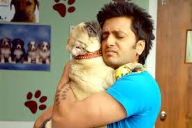 Were You Aware Of These 10 Dog Breeds That Have Been Used In Bollywood Movies Time Again Viral Bake We took google's network trained to recognize cats, flowers and furniture, and now it identifies breed of dogs! were you aware of these 10 dog breeds