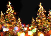 35 Tree Lighting Celebrations in the Triangle in 2024 ...