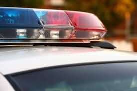 , was sentenced monday to 20 years for. Brighton Business Man Sentenced To 20 Years For Fraud Brighton Mi Patch