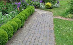 Lesen sie, wie man aus beton schicke trittsteine für den garten selber baut. Gartenwege Planung Und Materialtipps Mein Schoner Garten