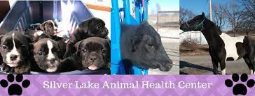 Affordable pet hospital offers the bakersfield animal community emergency veterinary services as well as medical, surgical, and dental veterinary care. Silver Lake Animal Health Center Locally Owned Veterinary Clinic And Pet Supply