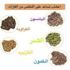 pin by hind on exercise dog food recipes food animals food