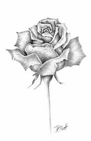 Flowers For Single Rose Pencil Drawing Pencil Drawings Roses Drawing Drawings