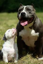 Pin On Lmao Adorable