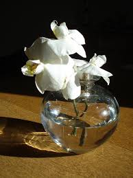 White faux flowers in white vase illustration, floral design vase flower bouquet jin jun mei tea, vase transparent background png clipart. Crystal Clear Vase With White Flower Photograph By Jessica Gale