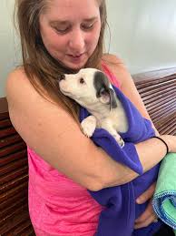 💜🐾 “Okay Crazy Mommy… take my picture already! 📸 I know I look cute AND  smell delicious after my Spaw day, but the guys are waiting for me 😎💁‍♀️  AND my BFF