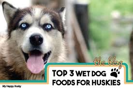 Foods to avoid for husky dogs. Best Wet Dog Food For Huskies The Top 3 Picks My Happy Husky