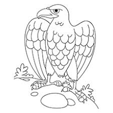 Here is a coloring sheet of a parrot, one of the prettiest birds . Top 20 Free Printable Bird Coloring Pages Online