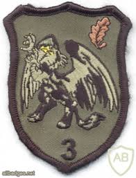 Germany's military aviation history between 1884 and the present is the focus. Badge Information Page Viewing Badge Germany Bundeswehr 1st Jager Air Assault Rgt 3 Light Infantry Company
