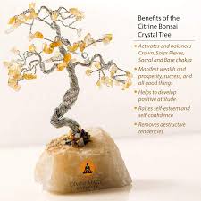 Maybe you would like to learn more about one of these? Buy Divine Magic Handmade Crystal Money Tree Citrine For Wealth Prosperity And Success Bonsai Tree Decor Spiritual Gifts For Women Men Gemstone Good Luck Tree Fengshui Items For Home Online