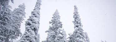 Guest Blog: Good Trails Come to Those Who Wait