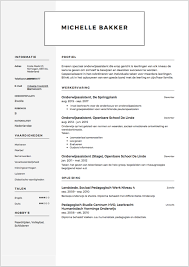 Daarom hebben wij de beste cv voorbeelden en cv templates voor je op een rij gezet. Cv Voorbeeld 2017 Met Alle Highlights Van Dit Jaar