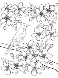 Get crafts, coloring pages, lessons, and more! Printable Spring Coloring Pages Spring Coloring Sheets Spring Coloring Pages Flower Coloring Pages