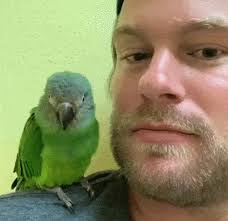 22 Photos That Show Animals Have the Purest Hearts